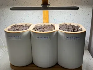 HydroMax Grower Ext. for "Prêt à Pousser" - Lilo