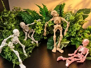 Flexi skeleton - improved version