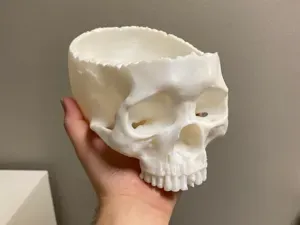 Realistic Skull Candy Bowl | Halloween Skull