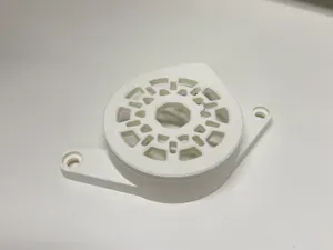 Custom Surron Motor Cover