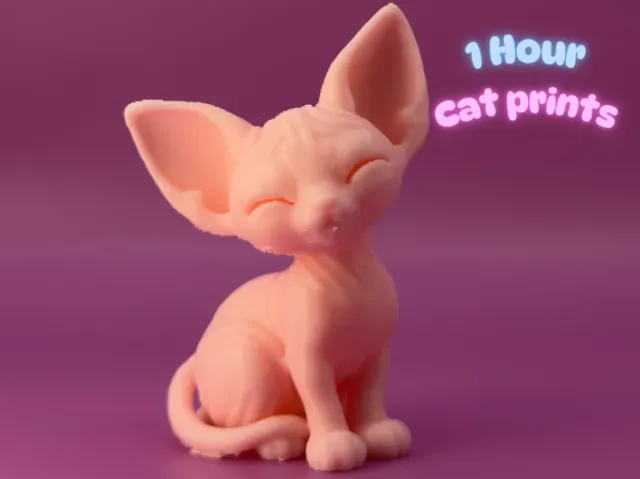 Sphynx Cat Sweetie - 1 hour print