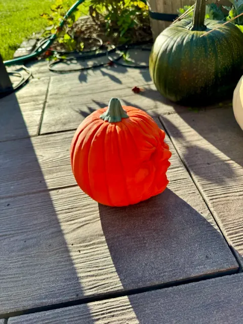 Screaming Pumpkin — Фото 6 из 6