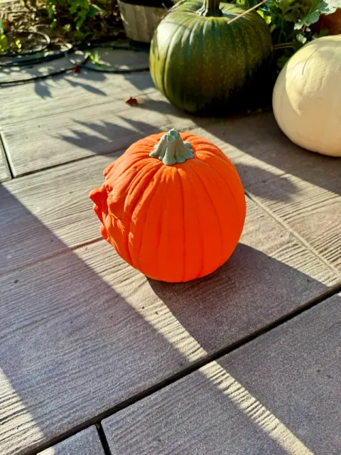 Screaming Pumpkin — Фото 5 из 6