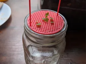 Humid plant propagation jar