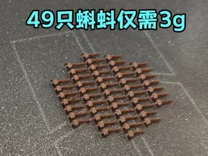 Minecraft 蝌蚪