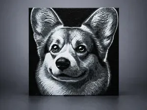 Corgi dog