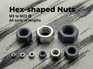 M2 - M22 Hex-Shaped Nuts (All sorts of lengths)