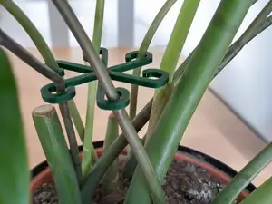 Stable Plant Support Hooks