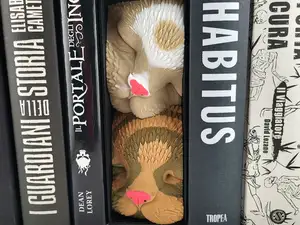 Sleeping Cat Friends NO AMS – Book Nook Shelf
