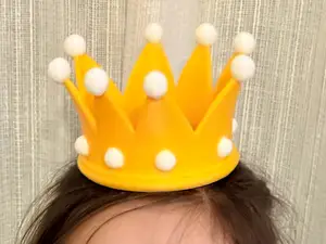 Royal crown for cosplay or fantasy