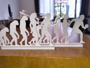 Human Evolution Table Tennis – Ping Pong