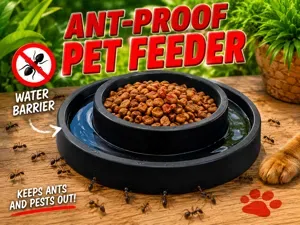 Ant-Proof Pet Feeder – Water Barrier Bowl