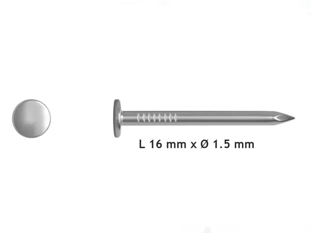 Fermacavo Clip con Chiodo Ø6 mm Fissaggio a Parete — Image 4 of 4