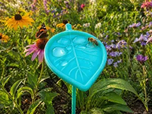 Insect Water Dish Bundle (Quick + Outdoor)