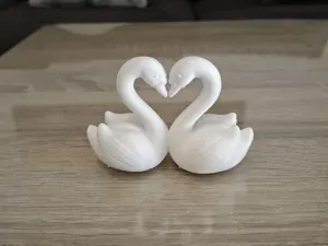 Valentine's Symmetry Heart Swans