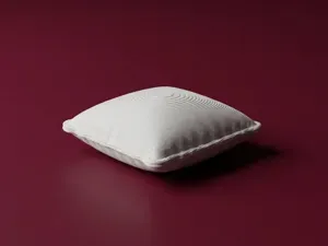 Dollhouse Pillow 3D Model