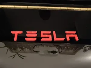 Tesla Model Y and Model 3 Rear Emblem Letters