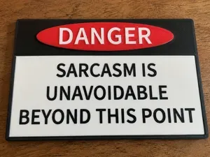 Funny Sarcasm Warning Sign - Desk & Door Plaque