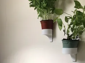 Minimalist wall bracket supermarket herb pot