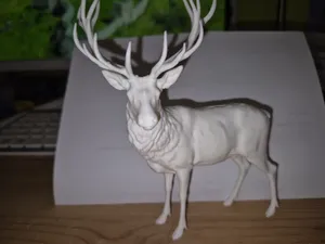 Hirsch