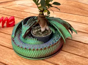 Coiled Dragon Planter – Bonsai Guardian