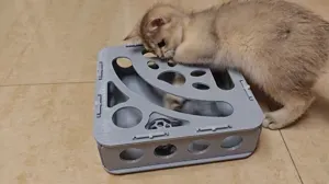 猫玩具-1#猫猫掏（柠总认证）