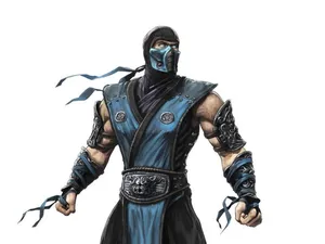 Sub Zero Mortal Kombat