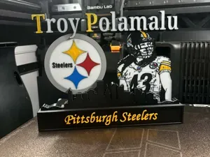NFL - Pittsburgh Steelers Troy Polamalu display!