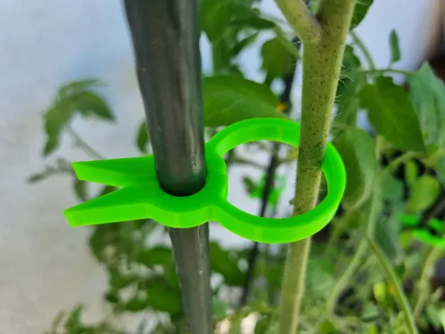 Pflanzen-Clip 7 / 12mm Rankstange — Image 2 of 4