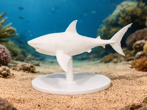 Great white shark - Animal