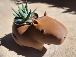 Capybara Animal Planter Pot