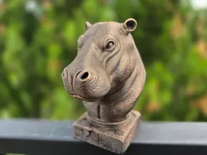 HIPPO BUST