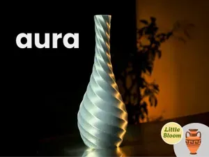 aura vase decor