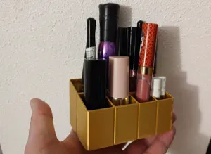 Organizer for cosmetics