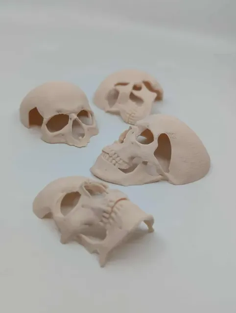 Human skull Spooky reptile hide Enrichment Decor — Фото 6 из 10