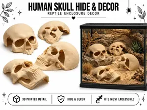 Human skull Spooky reptile hide Enrichment Decor