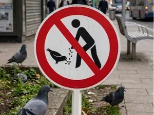 Tauben fuettern verboten mit Erdspiess