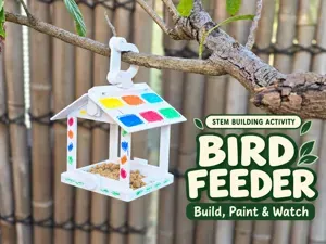 Build, Paint & Watch – STEM Bird Feeder Kit