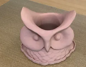 Owl head Planter