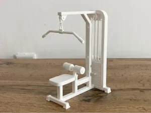 Pulldown Machine - Decorative Gym Model
