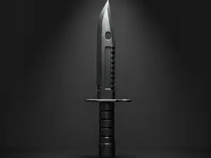 Bayonet Knife