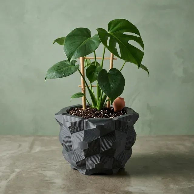 HexaCube Plant Pot — Фото 4 из 6