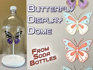 Butterfly Display Dome | Butterfly Glass Display