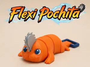 Flexi Pochita