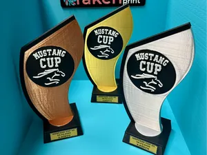 INDIVIDUAL TROPHY CUP