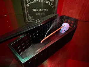 Skull Coffin Incense Holder