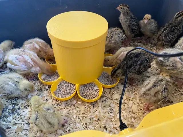 8 station Quail Chick or chicken feeder — Фото 4 из 8