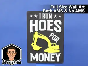 Run Hoes for money! Funny Sign / Wall Art - No AMS