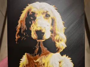 hue forge cocker