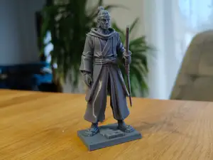Wandering Ronin